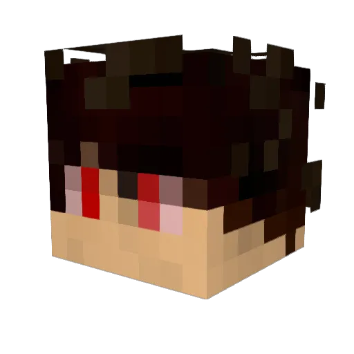 Fyammega Minecraft avatar head, 3D render