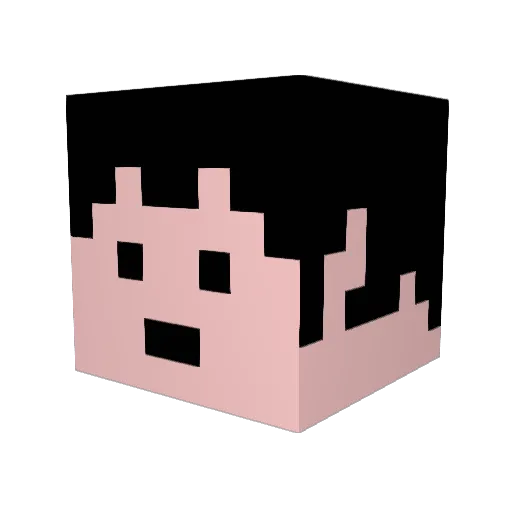 Fyan_suiiiii_ Minecraft avatar head, 3D render