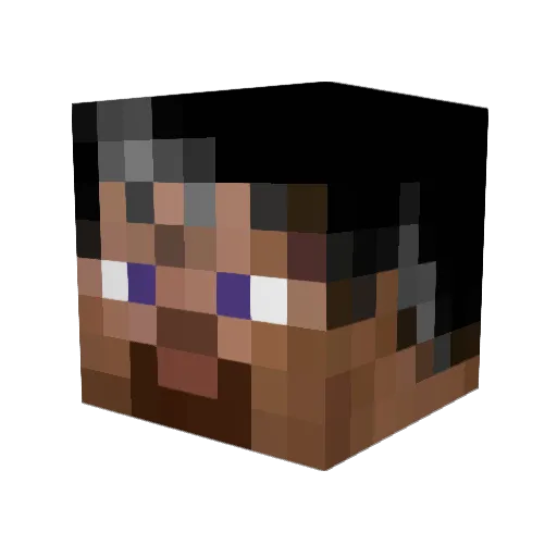FybPlayer Minecraft avatar head, 3D render