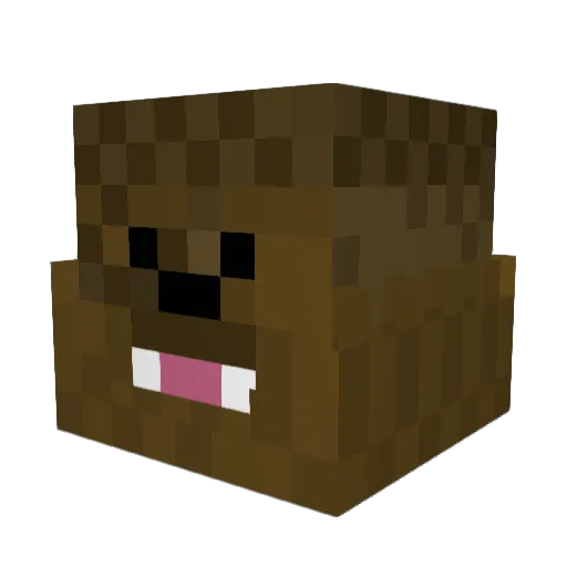 Fycooo Minecraft avatar head, 3D render