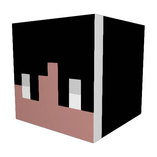 Fyded Minecraft avatar head, 3D render