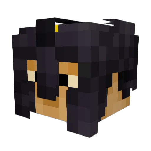 FyeKaiYT Minecraft avatar head, 3D render