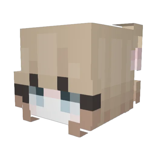 Fyena Minecraft avatar head, 3D render