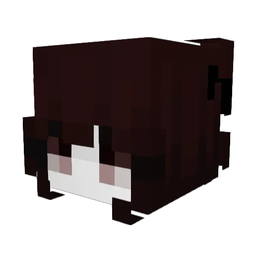 Fyewolf18 Minecraft avatar head, 3D render