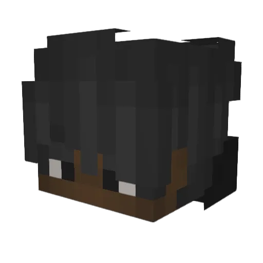 Fylan_ Minecraft avatar head, 3D render