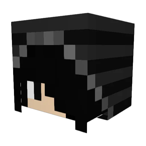 Fylix_Aerou Minecraft avatar head, 3D render