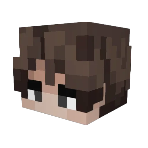 FynWeir15 Minecraft avatar head, 3D render