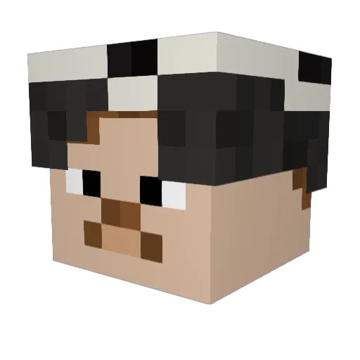 Fynlaeid Minecraft avatar head, 3D render