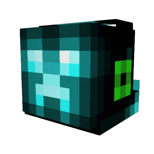 Fynn131211 Minecraft avatar head, 3D render