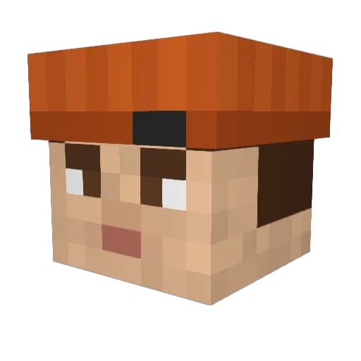 Fynn307 Minecraft avatar head, 3D render