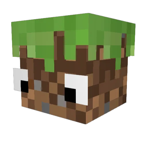 Fynn531 Minecraft avatar head, 3D render