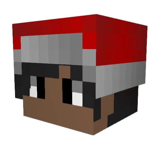 FynnMagDich Minecraft avatar head, 3D render