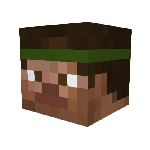 Fynnboyyyyy Minecraft avatar head, 3D render