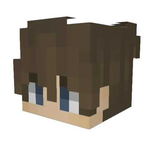 FynnderEchte1 Minecraft avatar head, 3D render