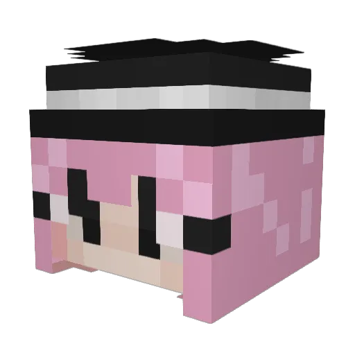 Fynndus3 Minecraft avatar head, 3D render