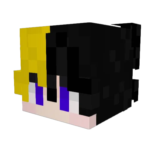 Fynni747 Minecraft avatar head, 3D render