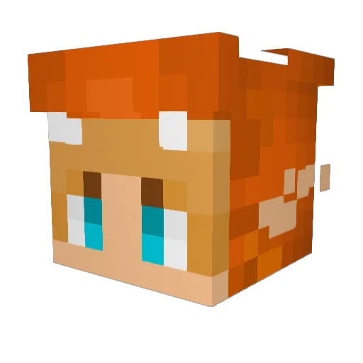 Fynnimin1 Minecraft avatar head, 3D render
