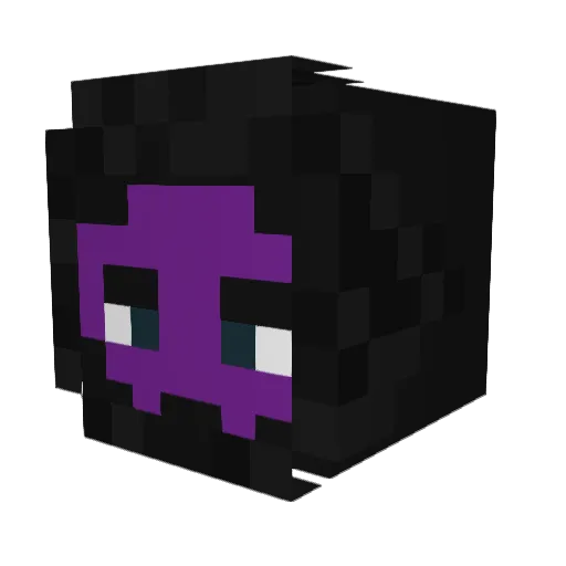 Fynnmario1 Minecraft avatar head, 3D render