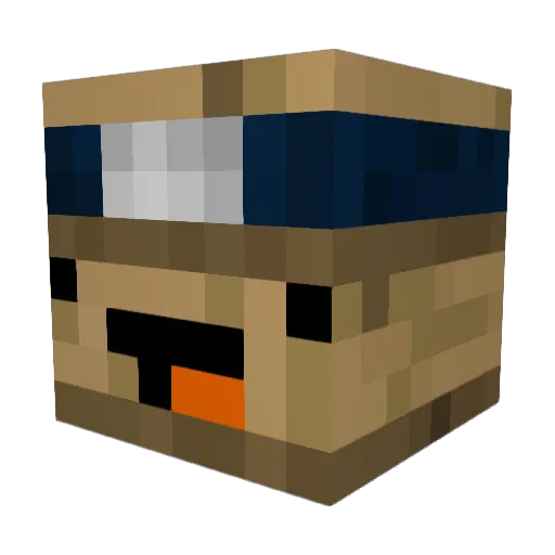 Fynnnic Minecraft avatar head, 3D render