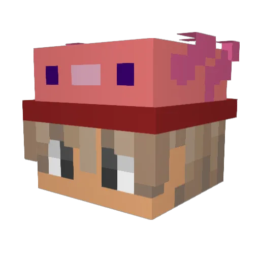 Fynnnsch Minecraft avatar head, 3D render