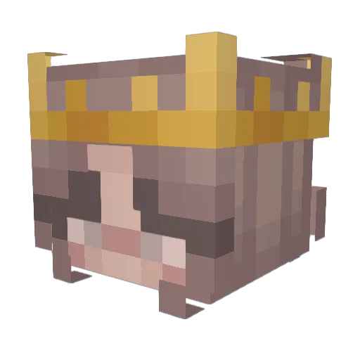 Fynnsteel Minecraft avatar head, 3D render