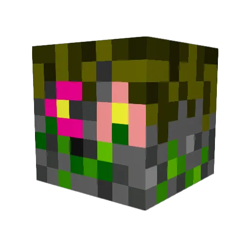 Fynone Minecraft avatar head, 3D render