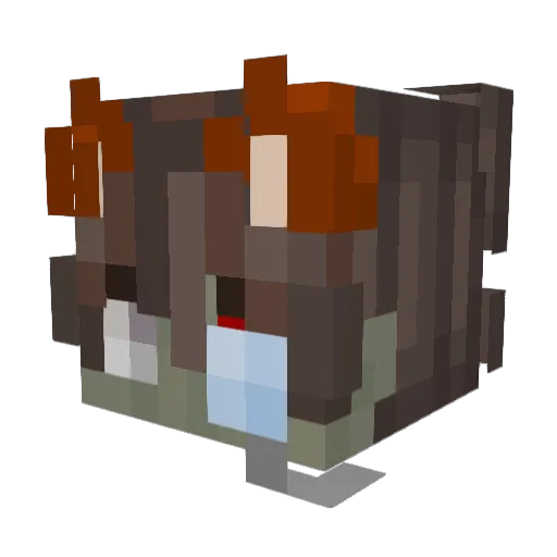Fynx23 Minecraft avatar head, 3D render