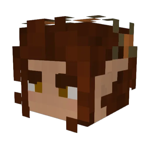 Fyorens Minecraft avatar head, 3D render