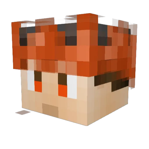 FyreB1rd Minecraft avatar head, 3D render
