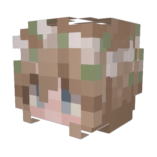 FyreFaux_ Minecraft avatar head, 3D render