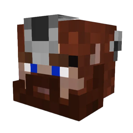 FyreFly00 Minecraft avatar head, 3D render