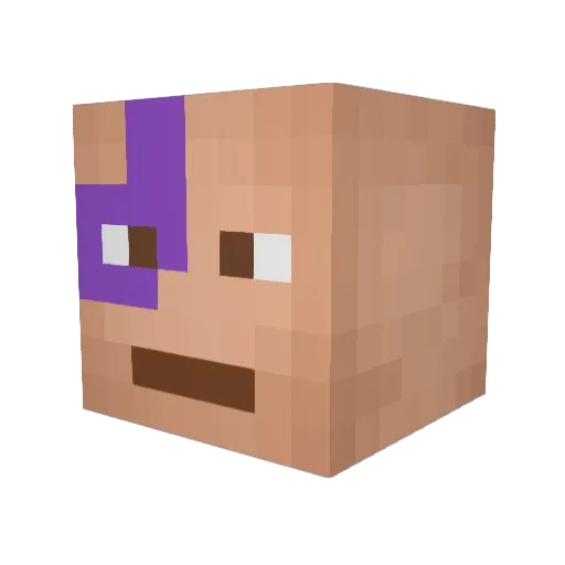 Fyresapling Minecraft avatar head, 3D render