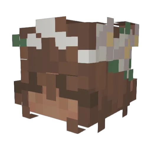 Fyroik Minecraft avatar head, 3D render