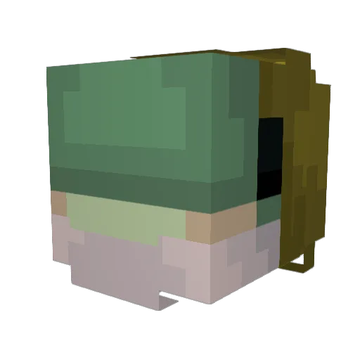 Fyshless Minecraft avatar head, 3D render