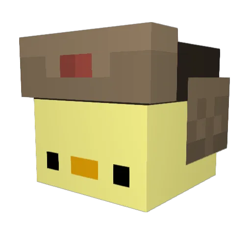 Fytchz Minecraft avatar head, 3D render