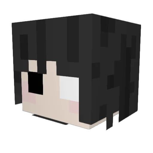 Fytrix0 Minecraft avatar head, 3D render