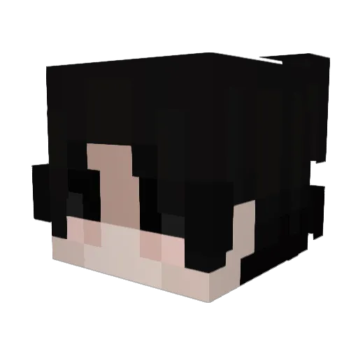 Fz3h Minecraft avatar head, 3D render