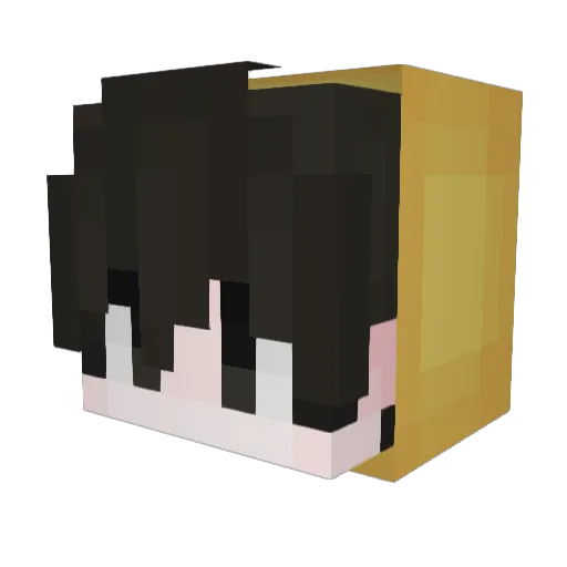 Fzieyy06 Minecraft avatar head, 3D render