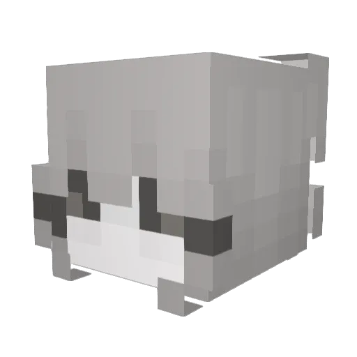 Fzrrari Minecraft avatar head, 3D render