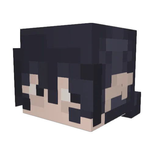 G00DR1DD3NS Minecraft avatar head, 3D render