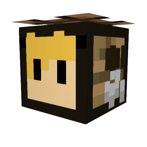G00LY Minecraft avatar head, 3D render
