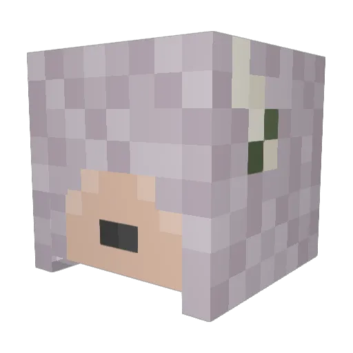 G00SE_RIDER Minecraft avatar head, 3D render