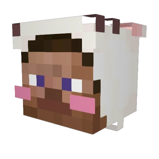 G039_ Minecraft avatar head, 3D render