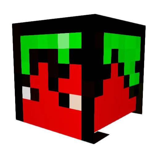 G0chu1 Minecraft avatar head, 3D render