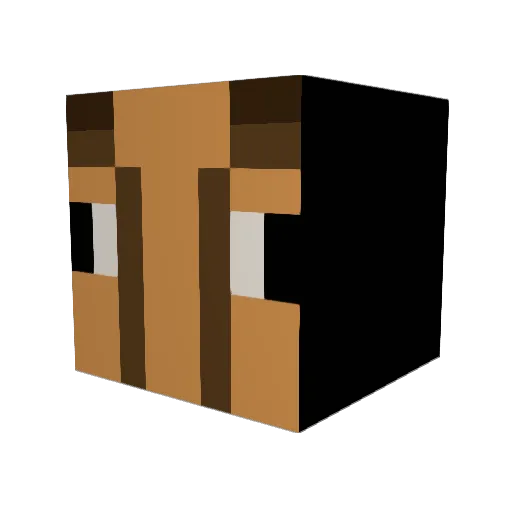 G0dDid Minecraft avatar head, 3D render