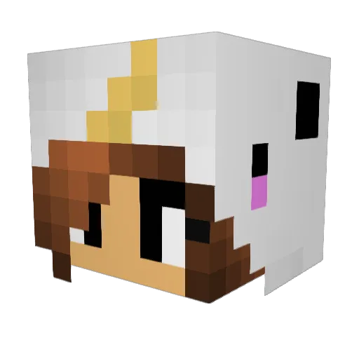 G0dHatesGays Minecraft avatar head, 3D render