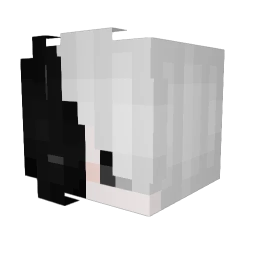 G0d_hunt3r1 Minecraft avatar head, 3D render