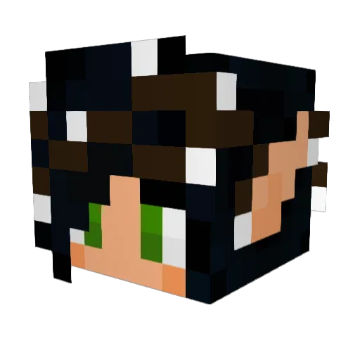 G0ld_for_Jules12 Minecraft avatar head, 3D render