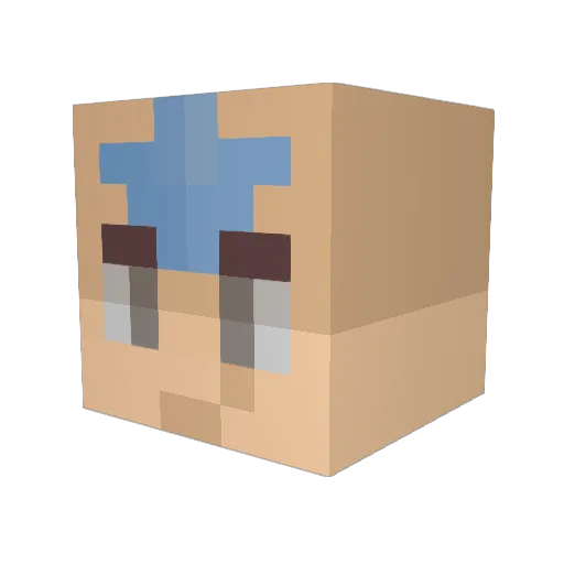 G0rR75c500 Minecraft avatar head, 3D render