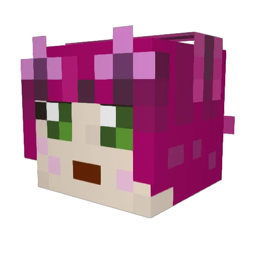 G0tp1ckle Minecraft avatar head, 3D render